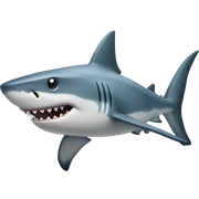 Shark sticker