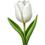 White tulip sticker