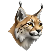 Lynx sticker