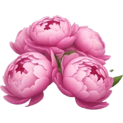 bouquet of peonies  sticker