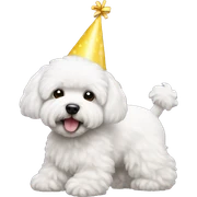 Bichon birthday  sticker