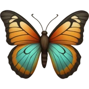 Bohemian butterfly sticker