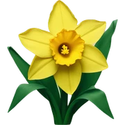 Daffodil sticker