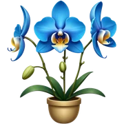 Orquídea azul sticker