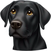 Black lab sticker