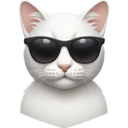 Cat with sunglasses sticker