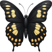 black butterfly  sticker