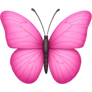 pink butterfly sticker