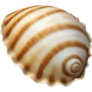Beach shell  sticker