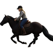 girl riding horse in nature sticker