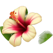 Hibiskus  sticker