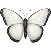 White butterfly  sticker