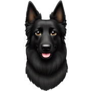 belgian sheepdog black sticker