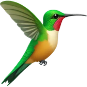 colibri sticker
