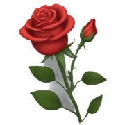 Ramo de rosas rojas sticker