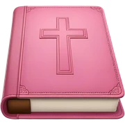 Pink Bible sticker