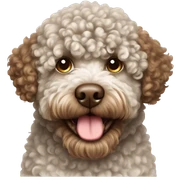 Lagotto romangnolo sticker