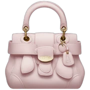 Dior bag sticker
