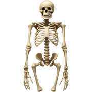 skeleton sticker