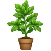 plant sticker