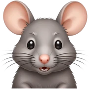 Rat Confused sticker