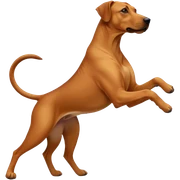 Ein rodisian rideback hund der tanzt  sticker