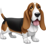 Basset hound sticker