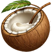 coconut sticker