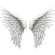 Angel wings sticker