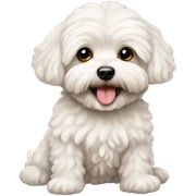 Maltipoo sticker