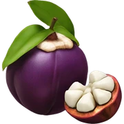 mangosteen  sticker