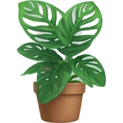 Prayer plant sticker