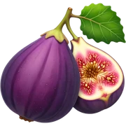 Fig sticker