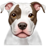 pit bull sticker