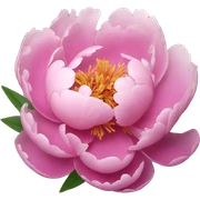 peony flower sticker