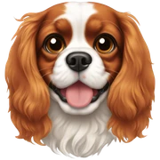 Cavalier King Charles sticker