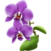 Orchid sticker