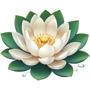 Lotus sticker