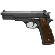 Gun sticker