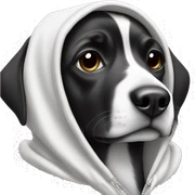 Black and white dog wearing a hoodie sticker
