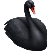 Black swan sticker