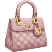 Dior bag sticker