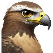 Hawk  sticker
