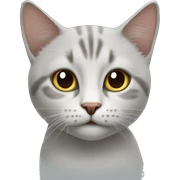 Üzgün bir kedi sticker