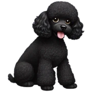 black poodle  sticker