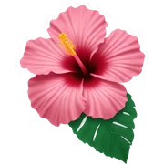 hibiscus sticker