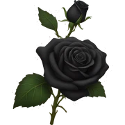 Black rose sticker