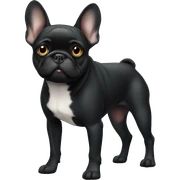 Black Frenchie standing sticker