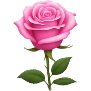 Pink rose  sticker