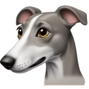 Greyhound sticker